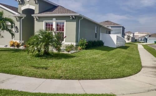Mowing Services Wesley Chapel