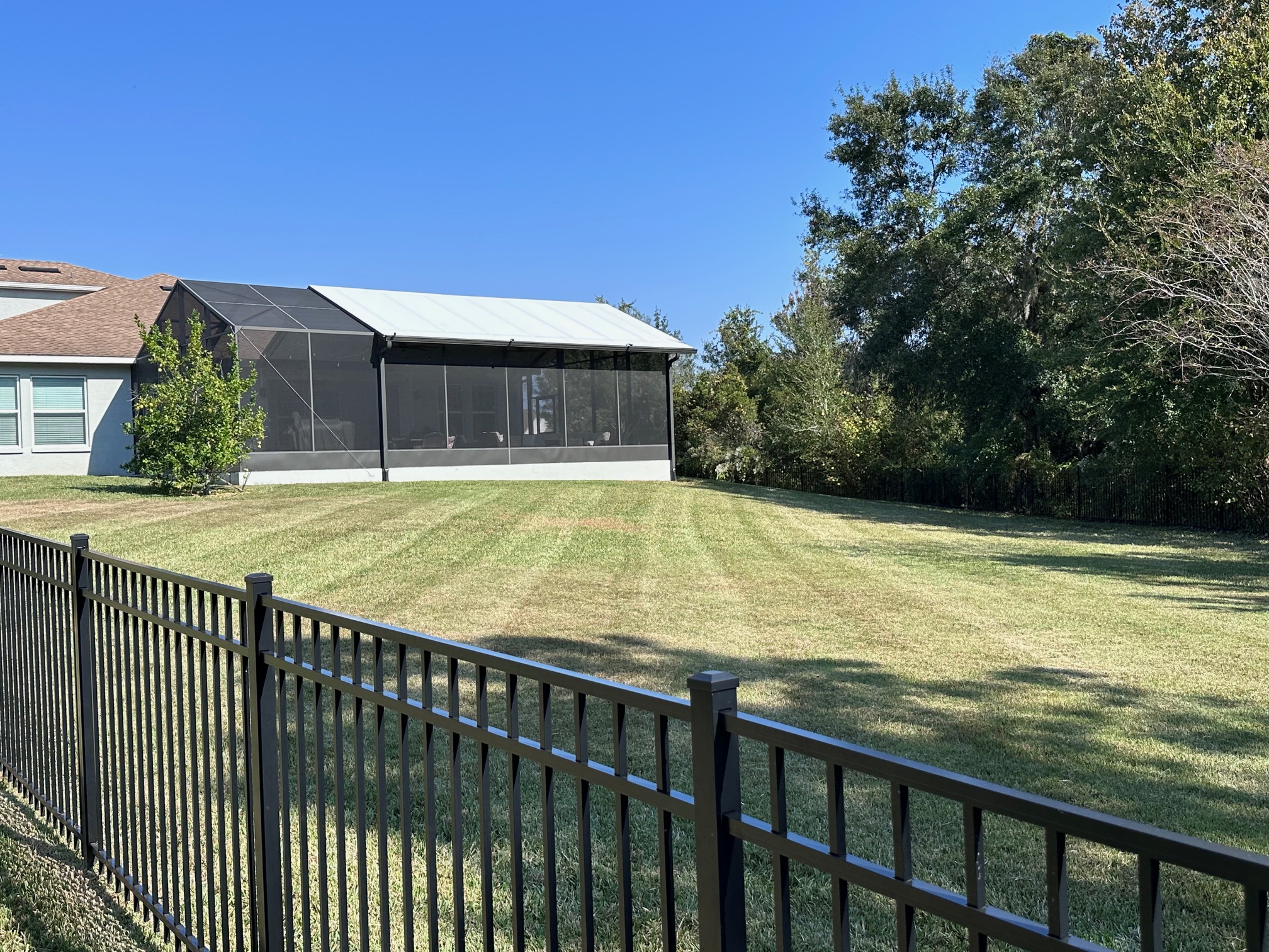 Expansive backyard in Wesley Chapel featuring fresh professional mowing stripes and a black aluminum fence surrounding a home with a screened lanai